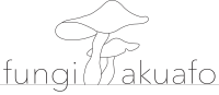 Fungi Akuafo Inc