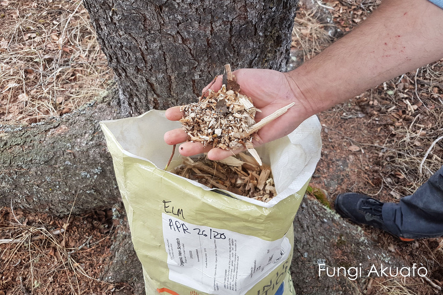 Growing Mediums - Wood Chips