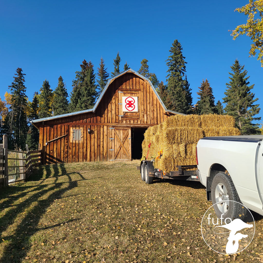 Growing Mediums - Straw Bale (small square)