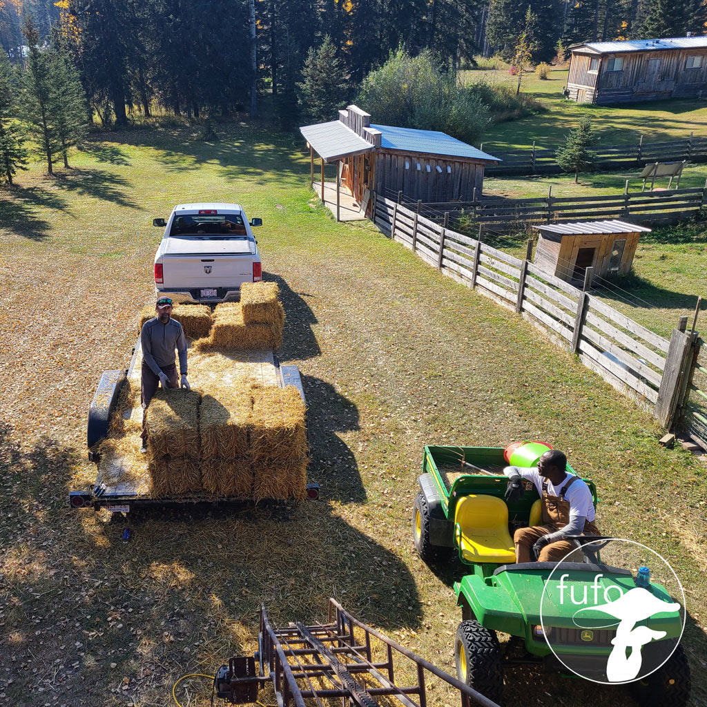 Growing Mediums - Straw Bale (small square)