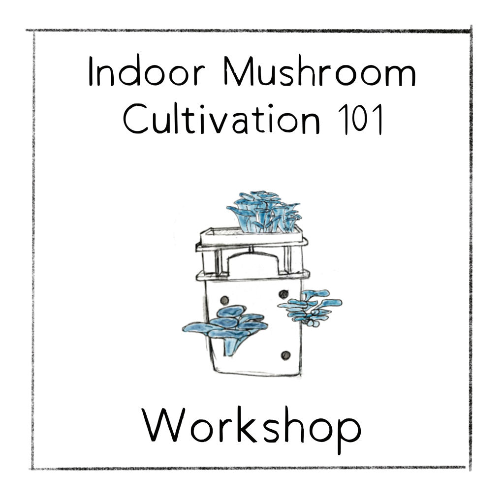 Workshop - In Person - 2023 September 9 (Saturday) 4 Hours - Growing edible mushrooms in your home
