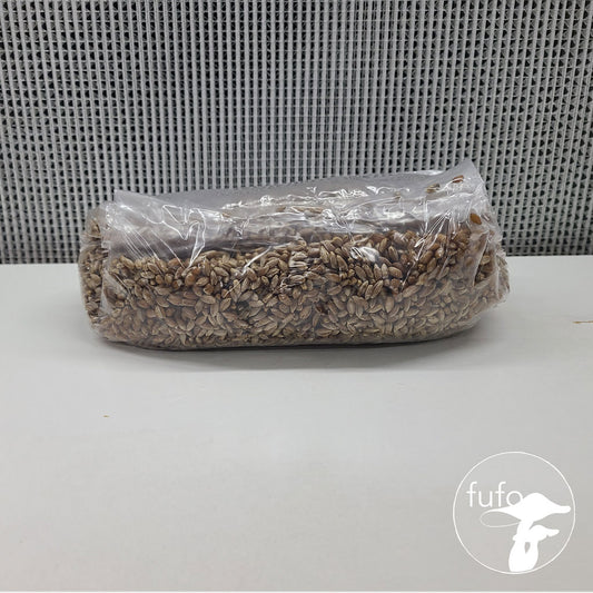 Grain Spawn - Sterilized (1kg) - Plastic Bag